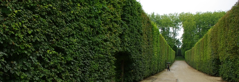 Рис.2. Тихие аллеи Версаля  (фото автора).