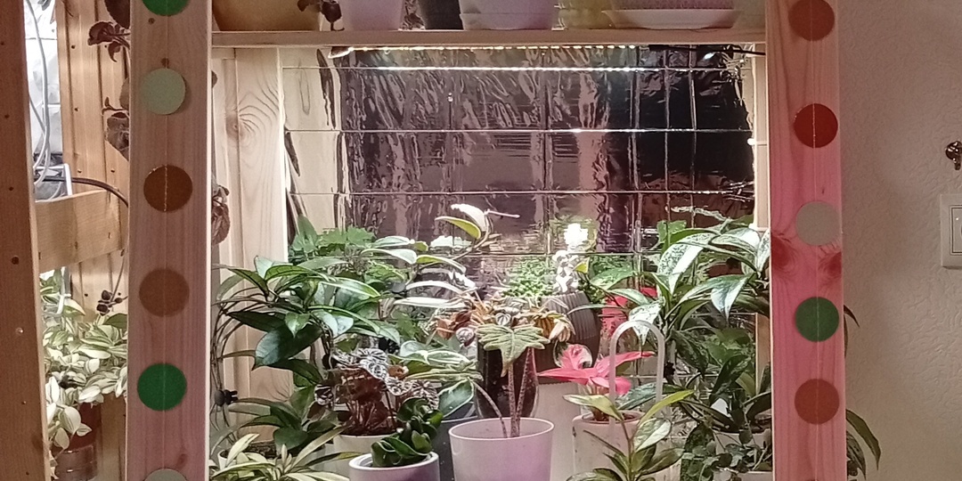 Новый стеллаж для растений с Вайлдберриз