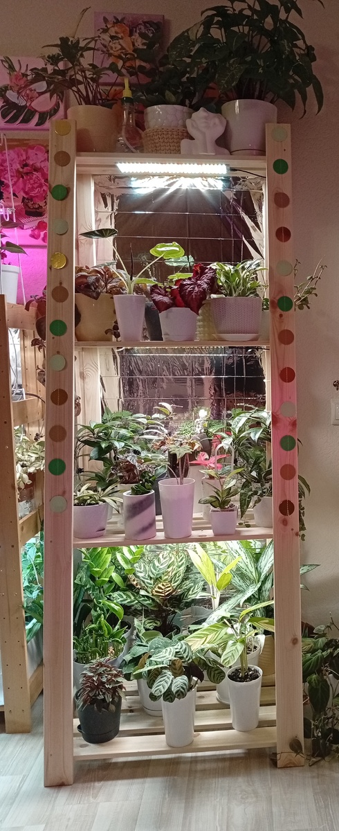 Справа от стеллажа западное окно. Организовывать подсветку на верхнюю полку не планирую. Весной растения поставлю на этот самый подоконник, а на полке будут стоять лейка, пульверизатор, корзинка с удобрениями.