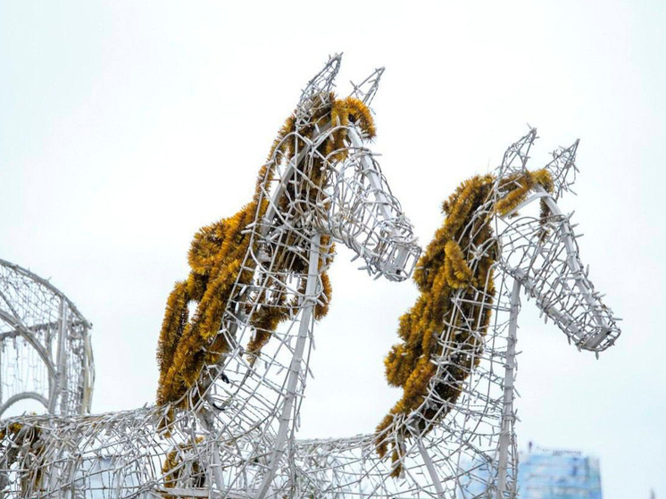     фото: Официальный телеграм-канал администрации города Липецка