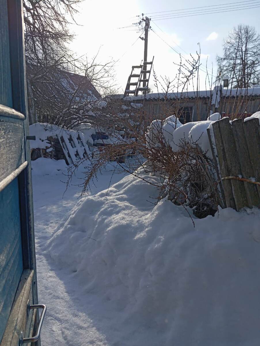 Задний двор. 