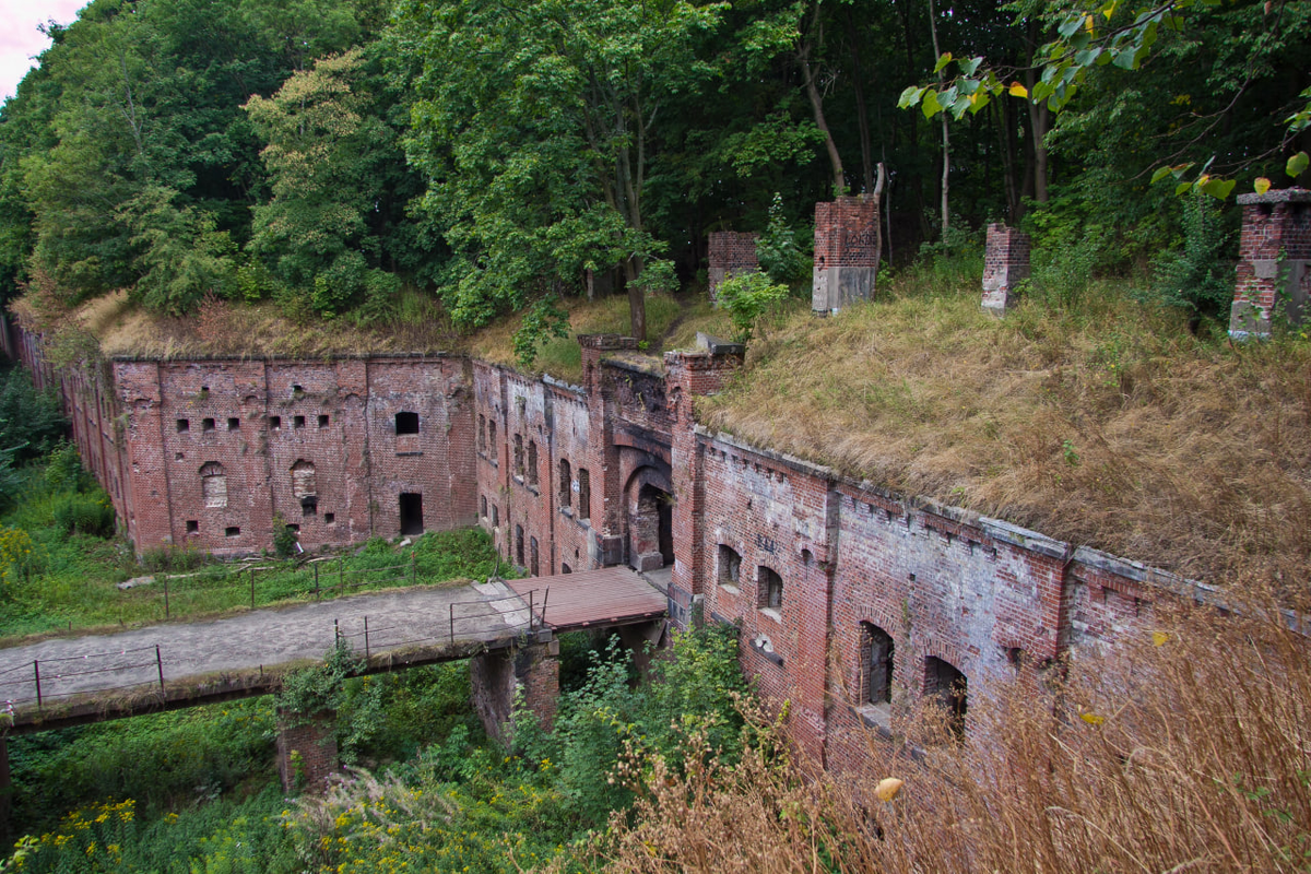 (источник: sputnik8.com)