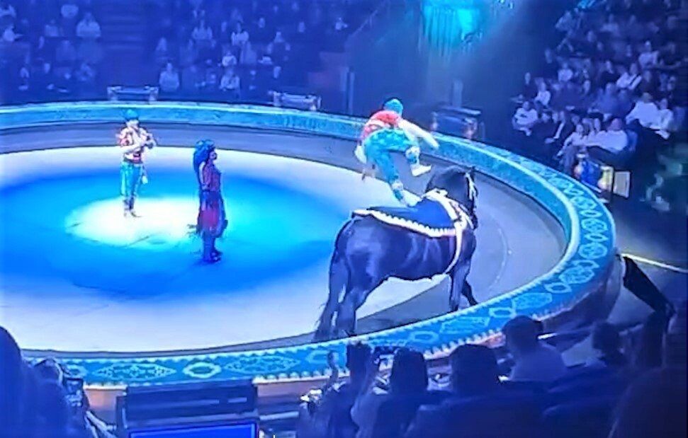     / Источник: кадр из видео