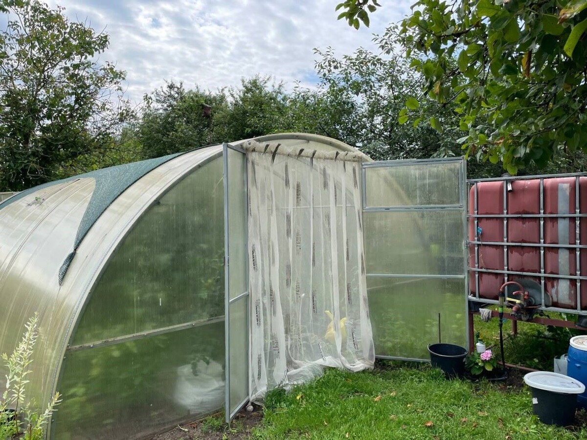 Теплица. Фото автора 