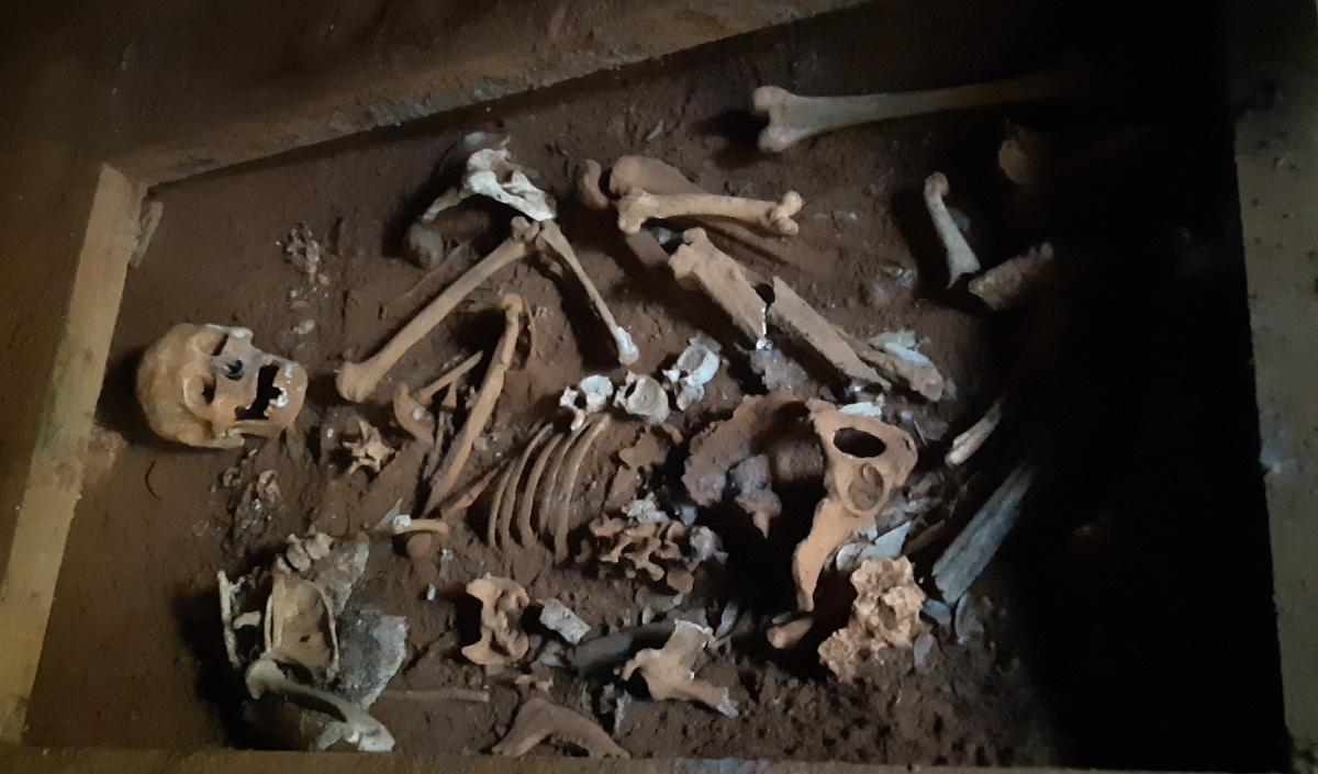 Человеческие останки, найденные в парке Вараикакос. 