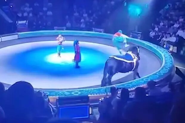    Фото: lenta.ru София Васильева