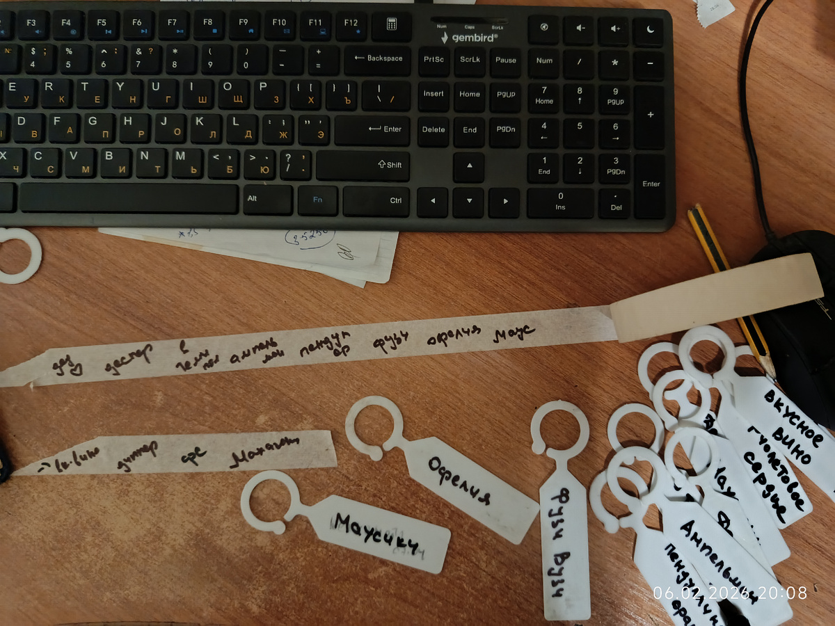 Можно было не торопиться писать сорт на бирках.. неизвестно ещё кто взойдет)