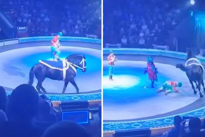 Кадр из видео © Mash