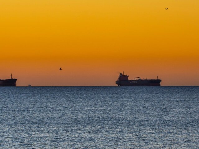    Фото: 123RF.com/lukasvejrik