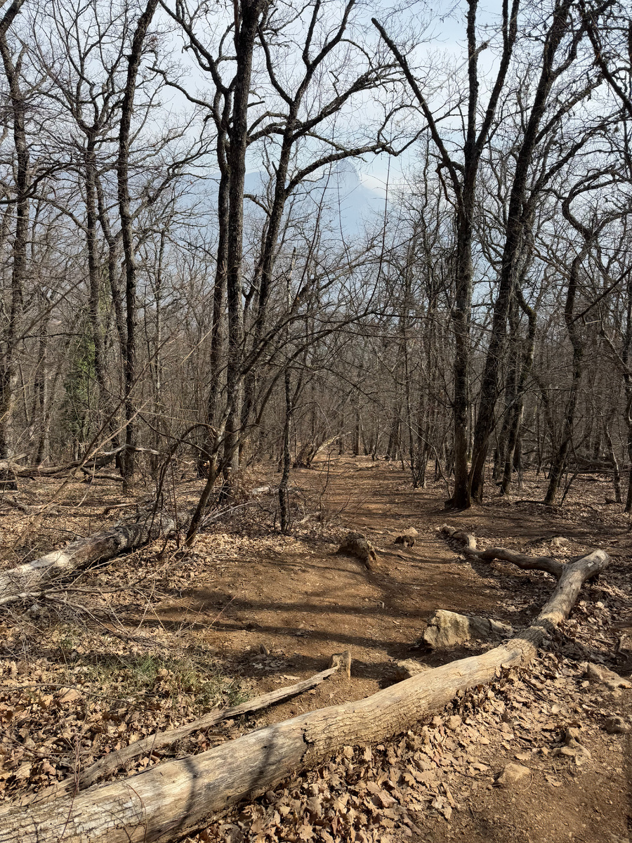 Здесь мы еще не ожидаем, что наткнемся на крутой подъем. 