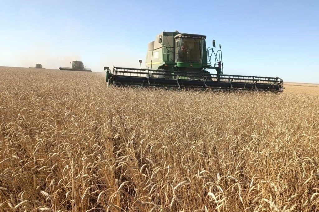 Фото: зерновой союз Казахстана