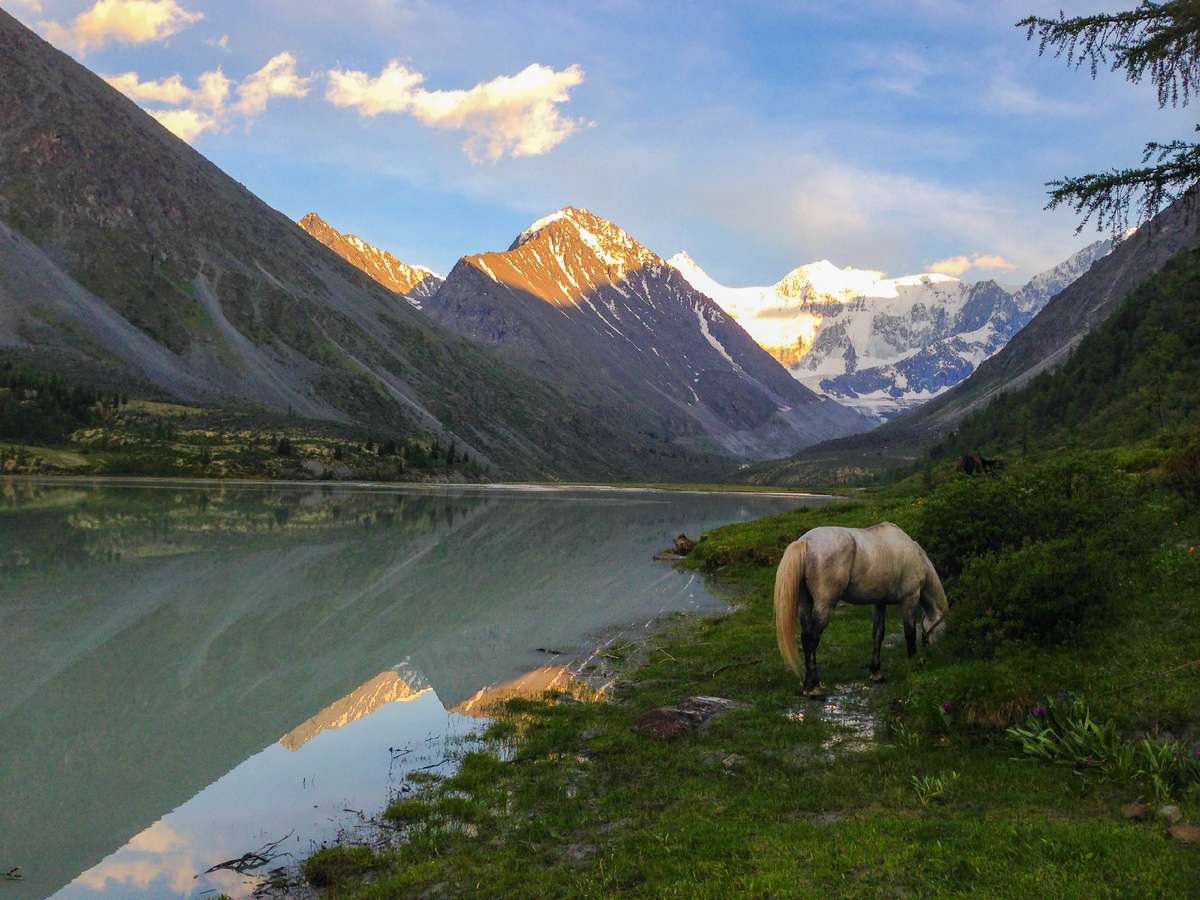 Фото с авторской экспедиции на Алтай, к подножью г. Белуха.