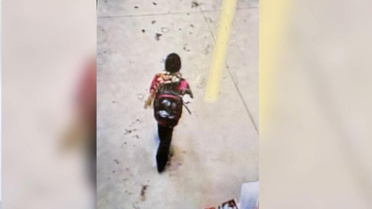    Фото: Лизаа́лерт