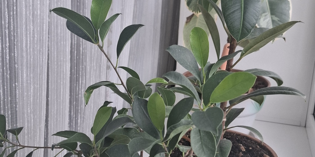 Сегодня ДР моего младшего сына