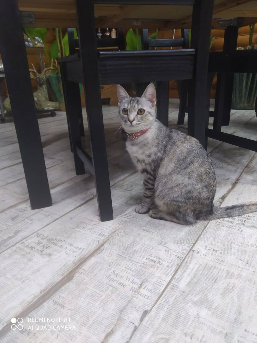 Дратути! Не узнали?