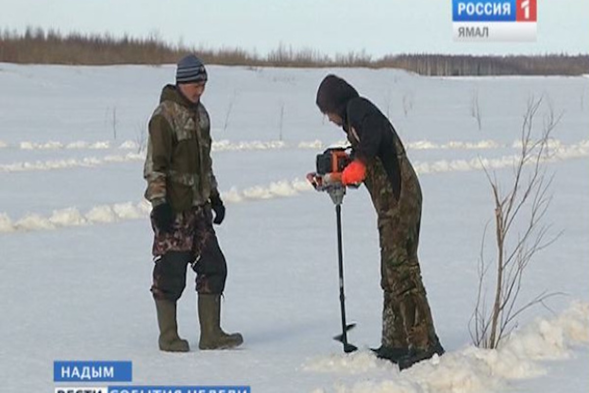    Фото: ГТРК "Ямал", источник: vesti-yamal.ru