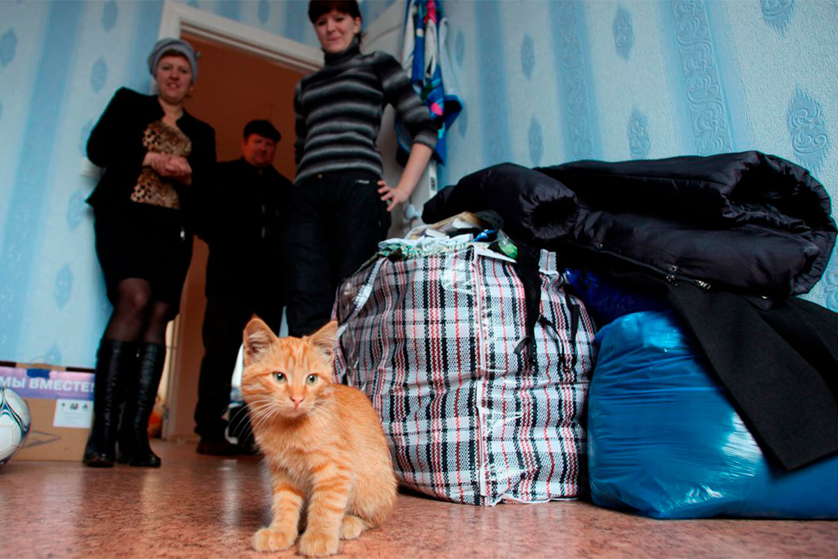 Фото с сайта: https://autosprite.ru/foto/koshku-v-dom-pervoy