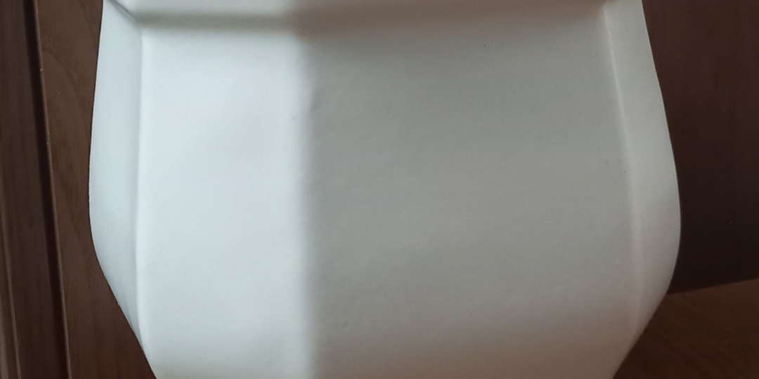 10.02.26. И вот горшок пустой...