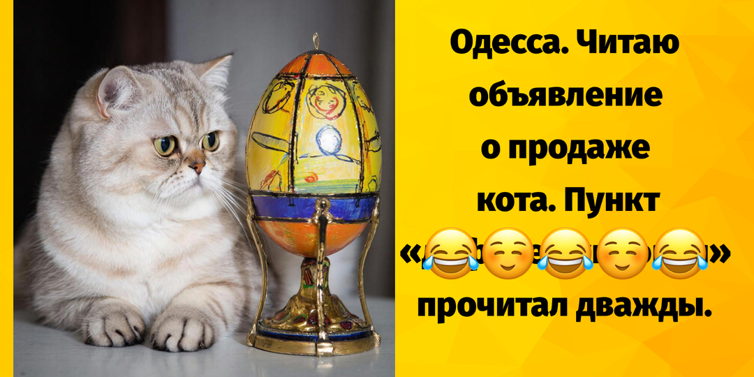 Добрые шутки и юмор про нас, самых лучших