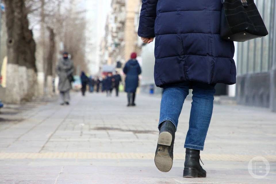    Фото: Дмитрий Рогулин / "Городские вести"