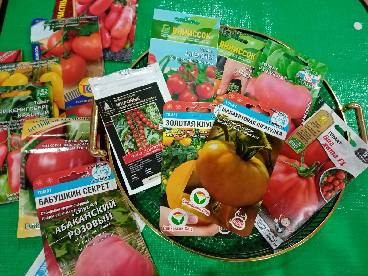 Мой выбор томатов/фото автора
