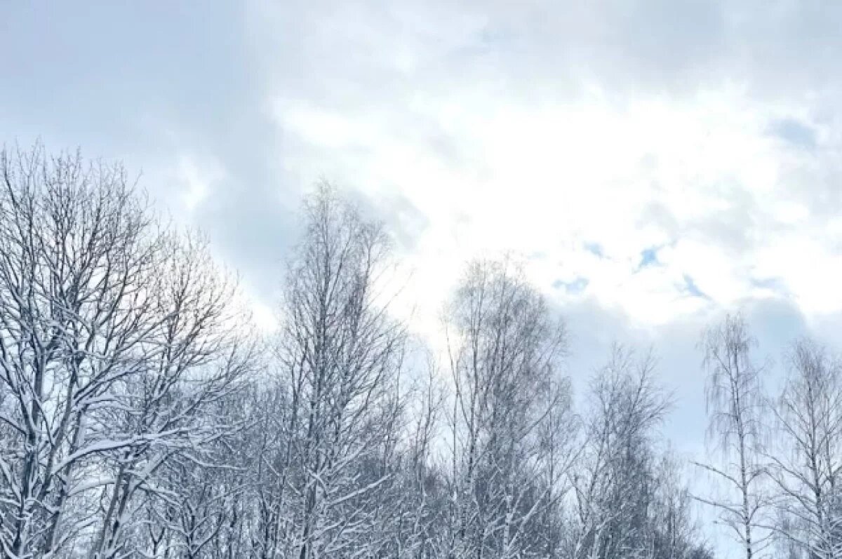    Ещё три БПЛА сбили над Тульским регионом 9 февраля