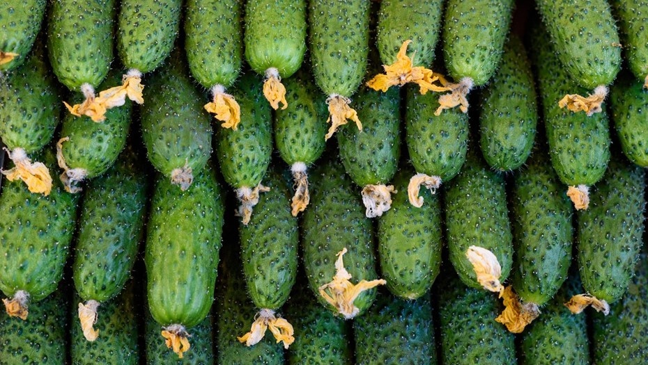 Автор фото: Сергей Ермохин / "ДП"