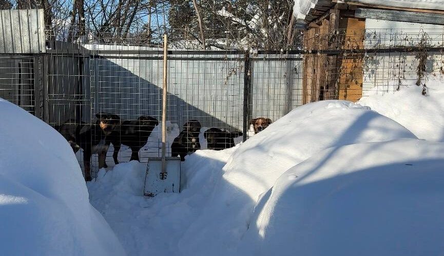    Фото: пресс-секретарь главы Зеленодольского района