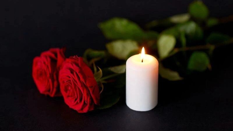    Фото: Ground Picture/Shutterstock/Fotodom