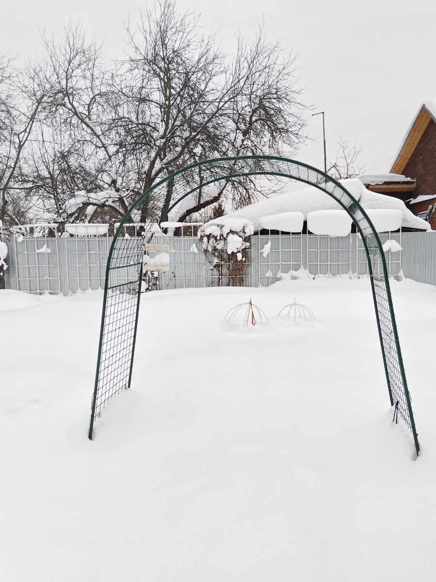 Зонтики пока держатся на плаву 😄. Еще не скрылись под снегом ☃️
