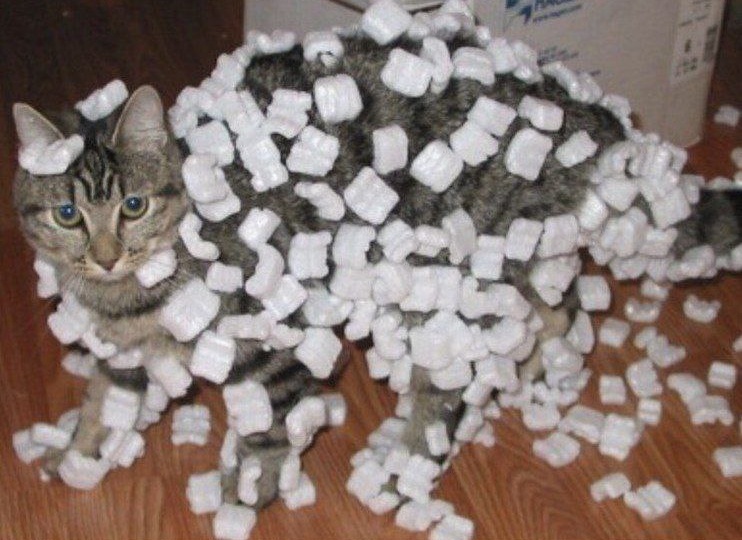 Детская магия или физика? Почему волосы «встают дыбом» и почему скотч липнет к рукам