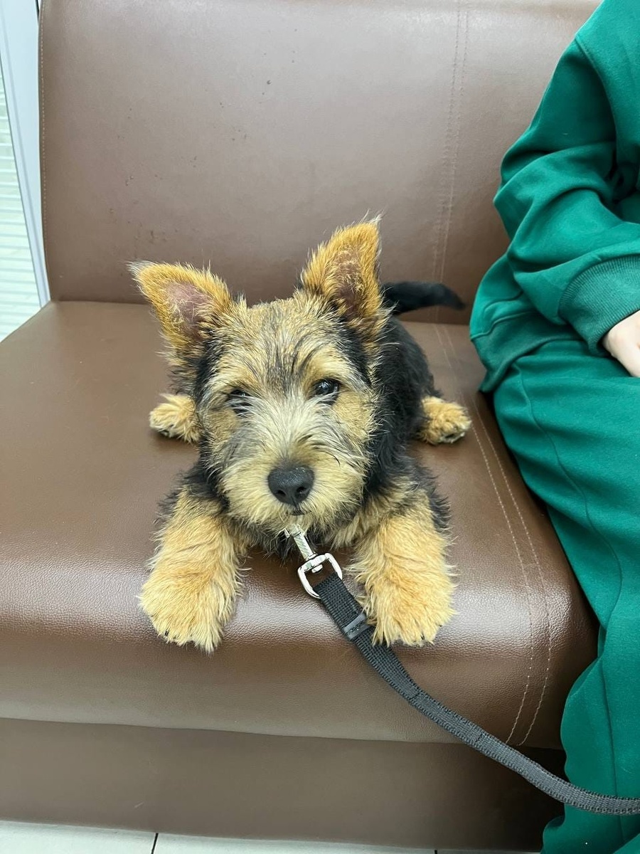 Создать карусель