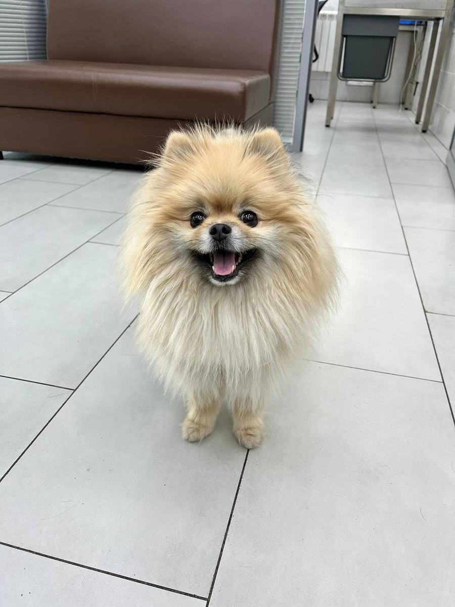 Создать карусель