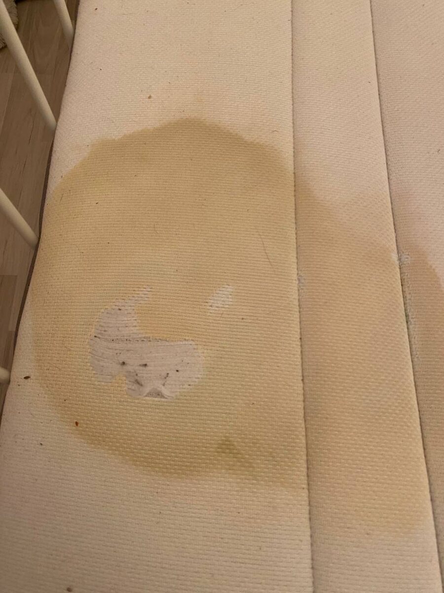 Ошибка в химчистке.