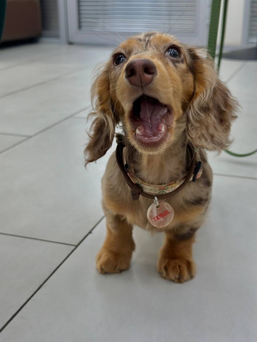 Создать карусель