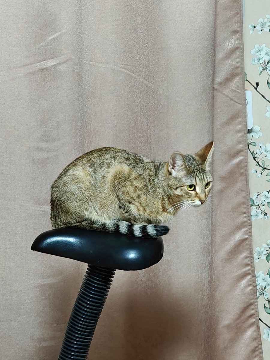 Людмила у нас ещё и спортсменка - сидит на кресле велотренажёра. 