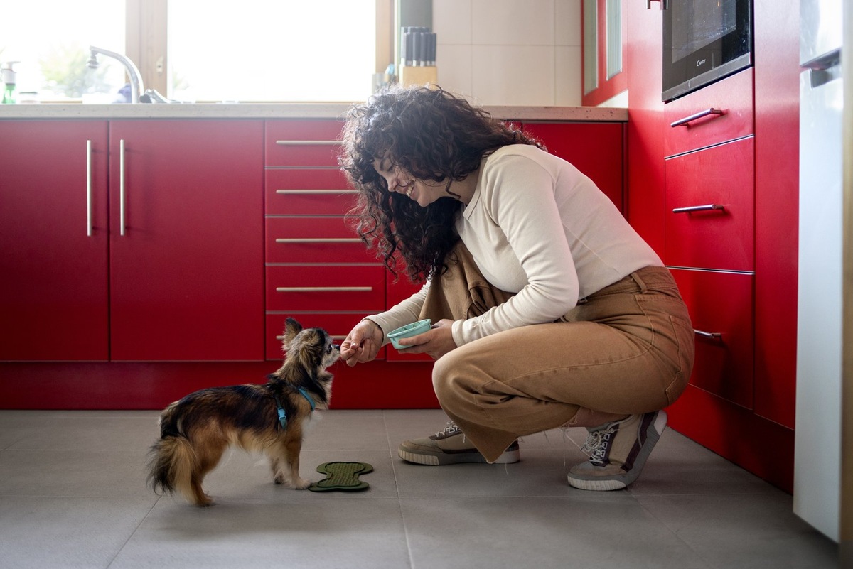    Важно не переборщить с количеством макарон, чтобы не вызвать у питомца ожирение