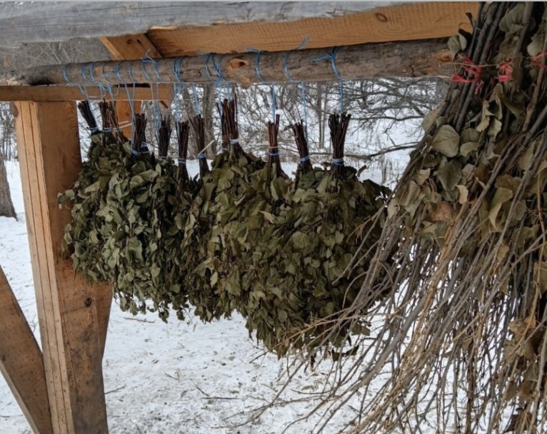    В Бузулукском бору косуль подкармливают «салатами» из веток