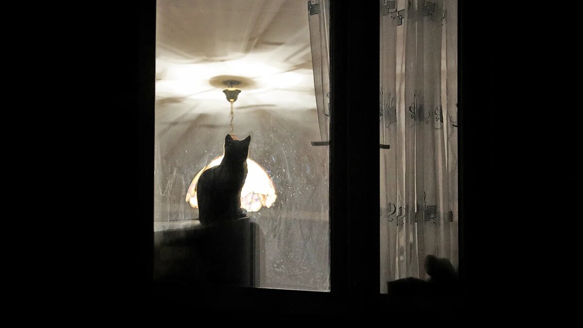   Михаил Терещенко / ТАСС- Архивное фото