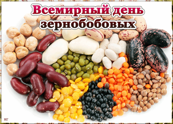 Фотография взята в открытом доступе интернета