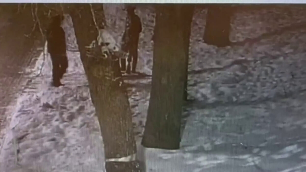 Скриншот видео