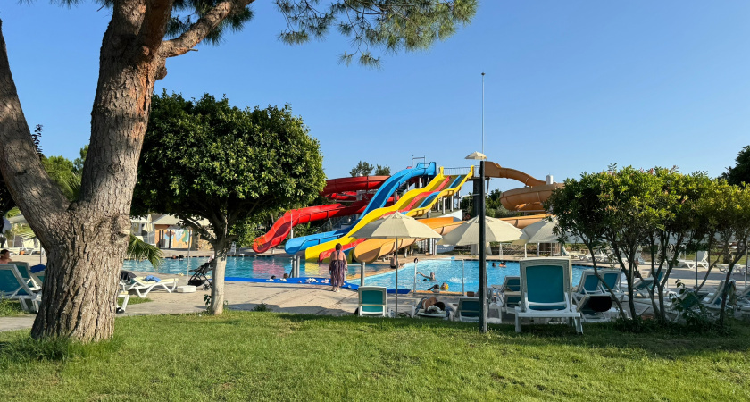    Фото: progorod43.ru