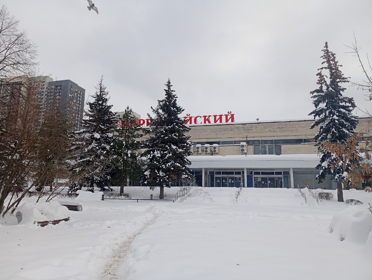 Фото автора, февр.2026.