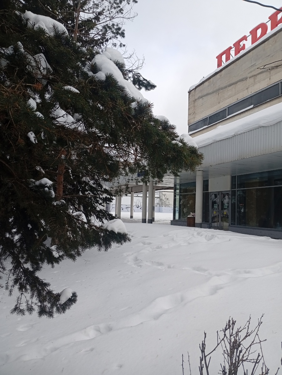 Фото автора, февр.2026.