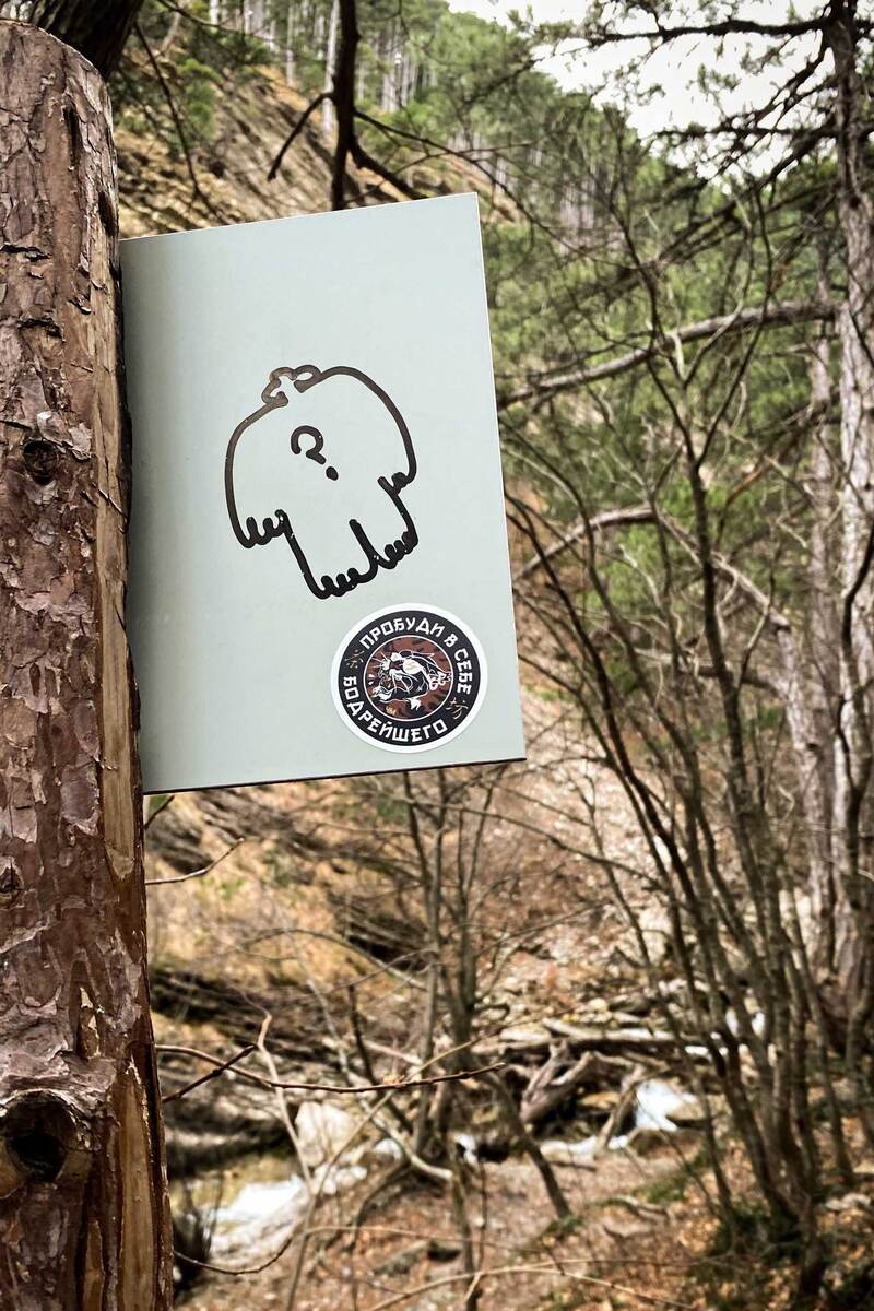 Крепкий шу пуэр из термоса