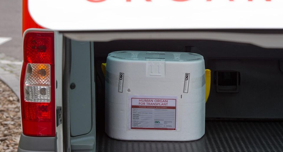    Soeren Stache/dpa / www.globallookpress.com