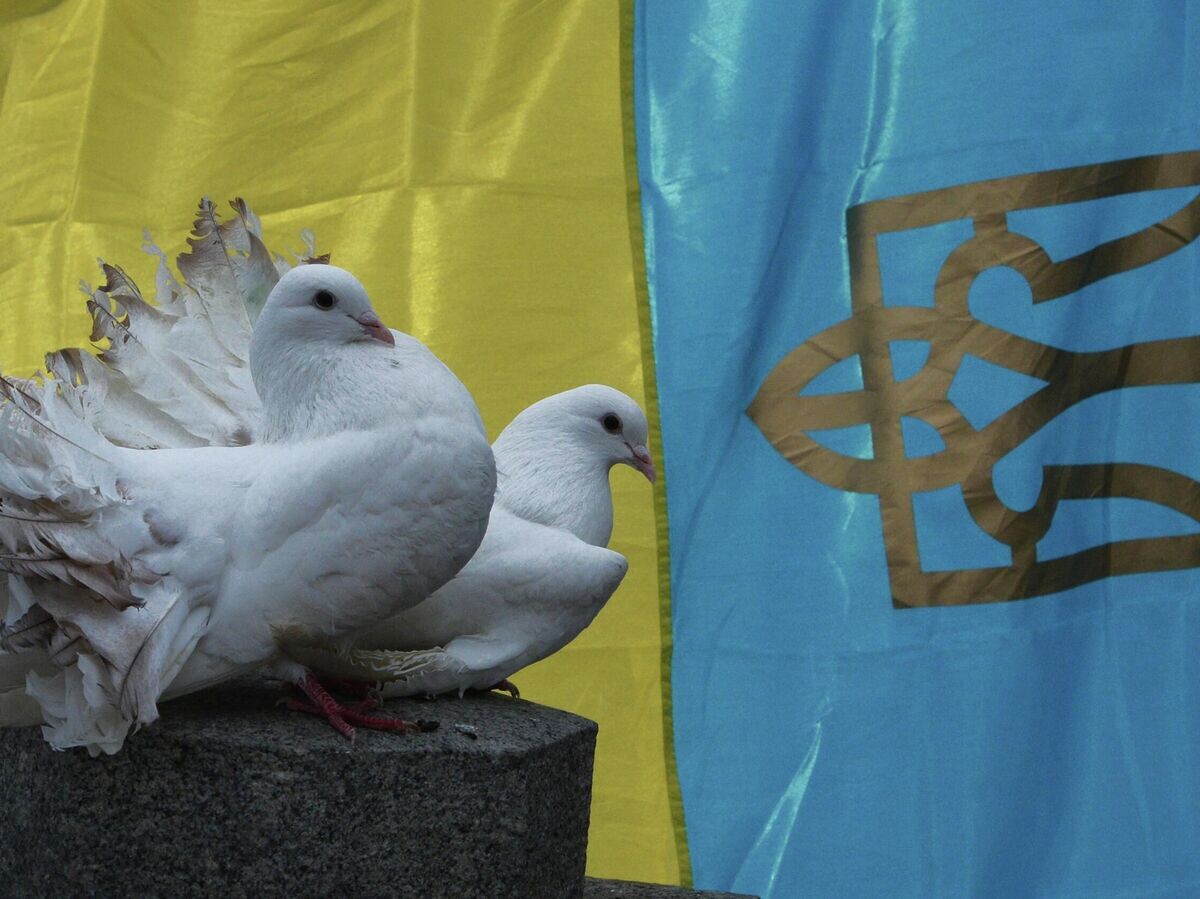    Белые голуби на фоне флага Украины | © РИА Новости / Алексей Куденко