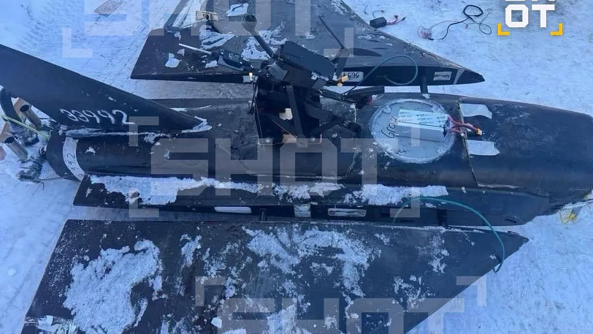    Фото: max.ru/shot