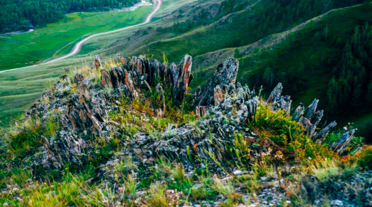 Природа Алтая