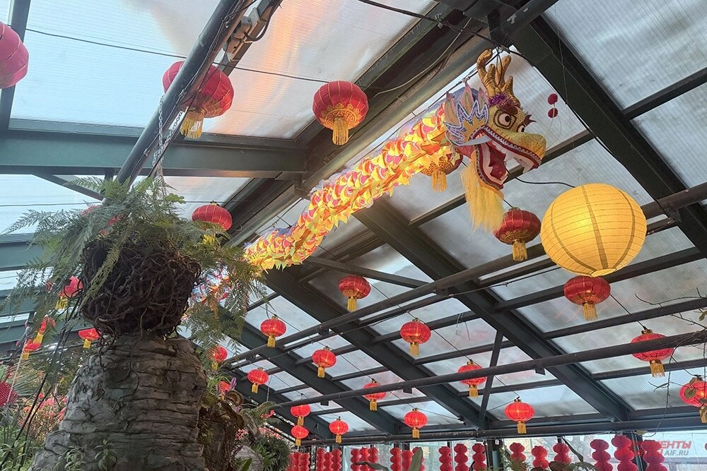    Фото: АиФ/ Валерия Чугунова